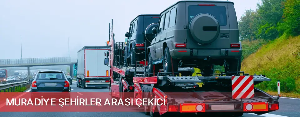 Muradiye İlçemi Şehirler Arası Çekici